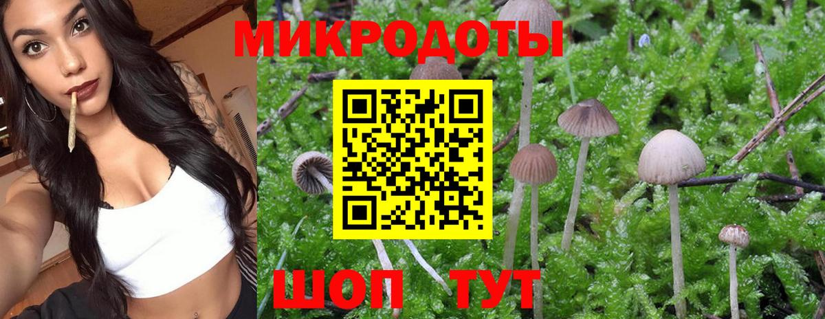 Черкесск  Галлюциногенные грибы прущие грибы  Вход с VPN 
